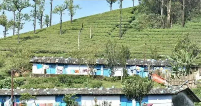 மாஞ்சோலை, வரைவு வாக்காளர் பட்டியல், தேர்தல் ஆணையம்