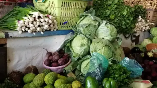 Akwụkwọ nri gụnyere ụgụ, tomato, ọha, onugbu, kukumba, karọt na ndị ọzo.