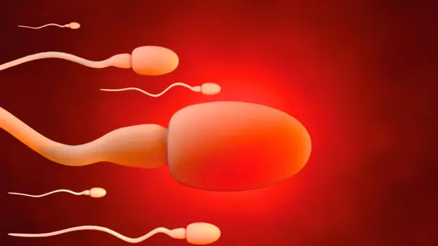 கோடைக் காலத்தில் விந்தணுக்கள் நீந்தும் வேகம் அதிகரிப்பு – ஆய்வில் புதிய தகவல்