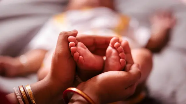 తమిళనాడు, శశికళ కేసు