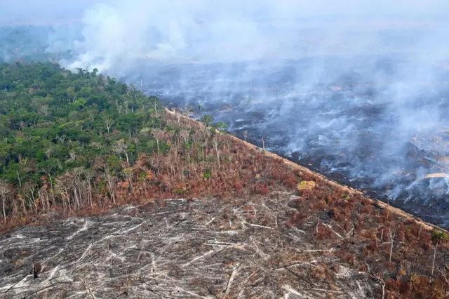Foto aérea mostra uma parte de floresta e outra parte desmatada por fogo
