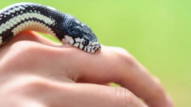 ప్రతీకాత్మక చిత్రం