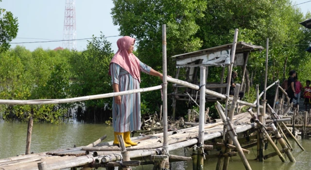 banjir rob, pesisir utara jawa, pantura, indramayu, eretan wetan 