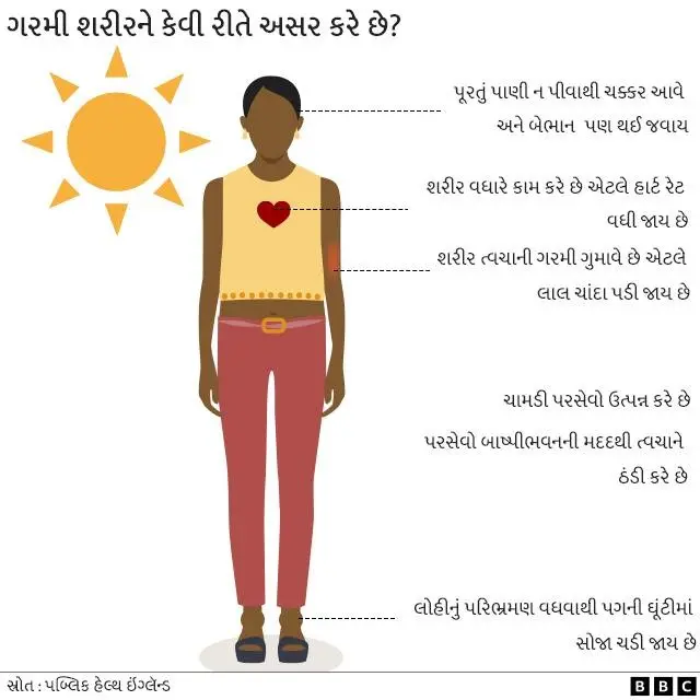 ગરમીની શરીર પર શું અસર પડે છે