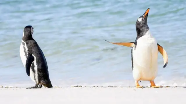 ‘ምስ ክንፈይ ተዛረብ!’ 