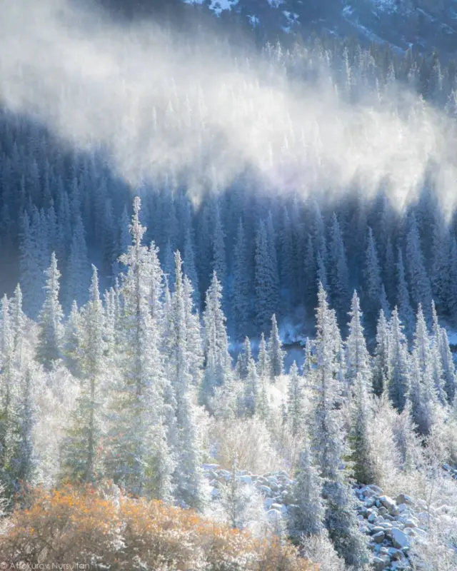 Кышкы таң...