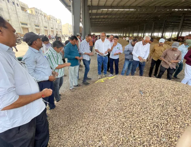 ગુજરાત, મગફળી, શીંગદાણા, ખેતી, ગુજરાતની ખેતી, કૃષિ, ખેડૂતો, ટેકાના ભાવ, કૃષિઉત્પાદન, વરસાદ, બીબીસી ગુજરાતી