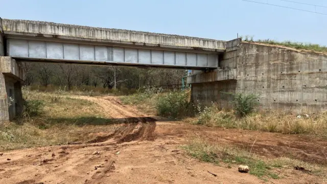 हाथियों की आवाजाही के लिए कई जगह अंडरपास बनाए गए हैं