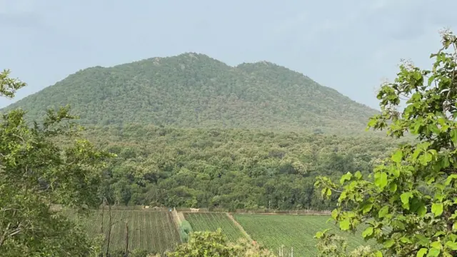 રાજકોટ, બીબીસી ગુજરાતી