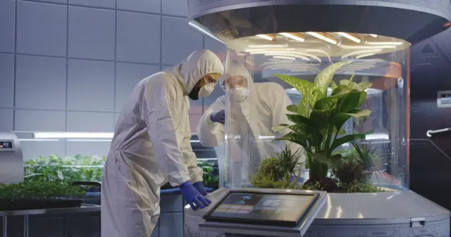 બીબીસી ગુજરાતી અંતરિક્ષયાત્રા ખેતી સ્પેસ કૃષિ એક્સિઓમ વનસ્પતિ વિજ્ઞાન અવકાશ મથક