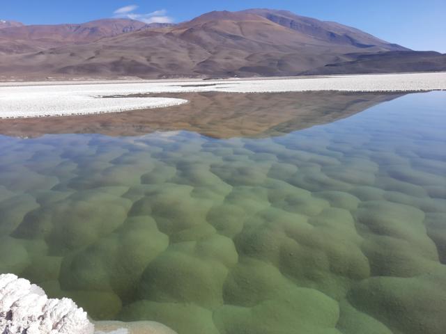 Puna do Atacama