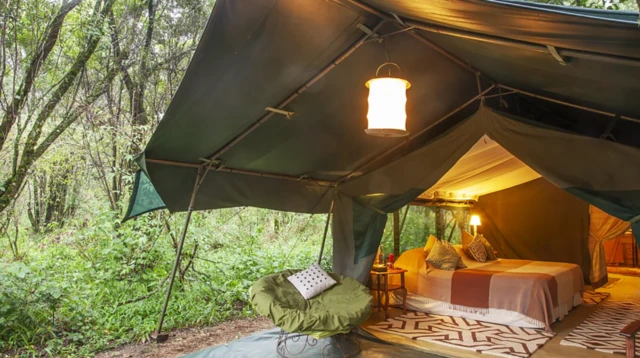 고급 사파리 캠프에 참여한 여행자들 중에도 자연과의 밀접한 접촉을 불편하게 느끼는 사례가 있다