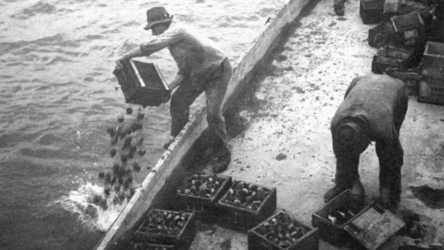 دہائیوں تک ماہرین نے فوج کو یہی مشورہ دیا کہ ایسا کرنا محفوظ ہو گا