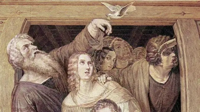 ঠোঁটে জলপাই পাতা নিয়ে ফিরে এসেছে কবুতর