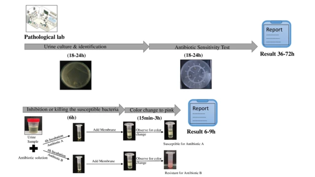 ਪ੍ਰਯੋਗਸ਼ਾਲਾ ਵਿੱਚ ਟੈਸਟਿੰਗ ਤੇ U-AST ਕਿੱਟ ਦੀ ਵਰਤੋਂ ਦੀਆਂ ਤਸਵੀਰਾਂ 
