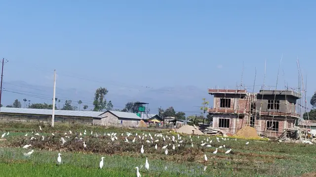 दाङको घोराही उपमहानगरपालिका-६ स्थित गुरुवागाउँ