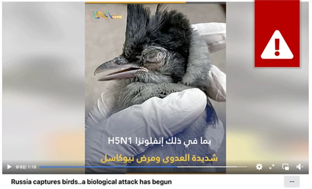 Yala News