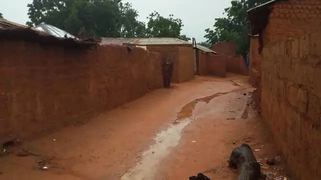 Road for Kaura village for Shagari local goment Sokoto