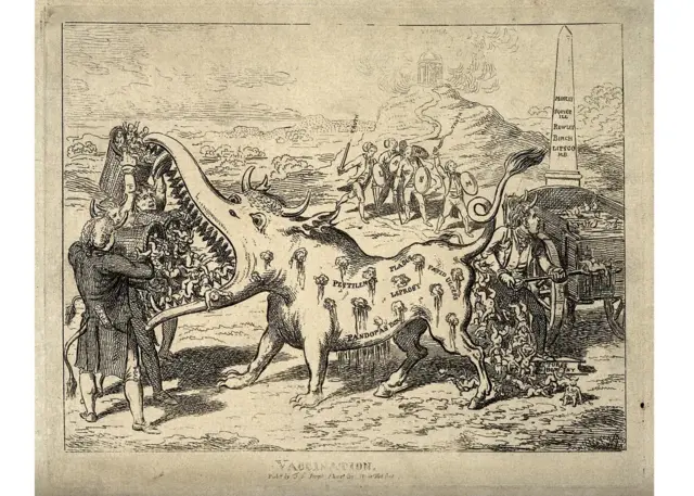 Expérimentation sur un animal