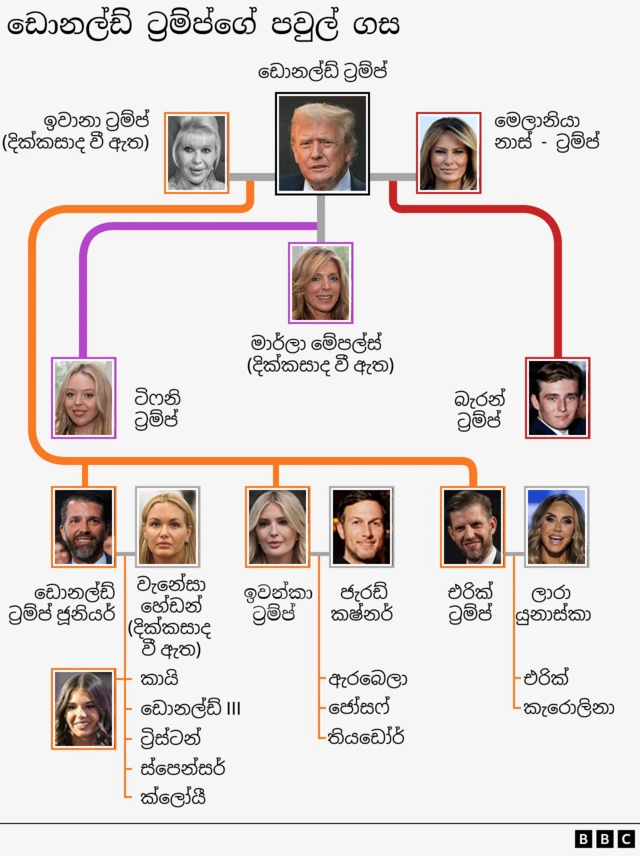 Trump family tree