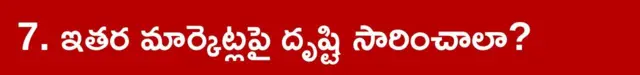 ఇతర మార్కెట్లపై దృష్టి సారించాలా?