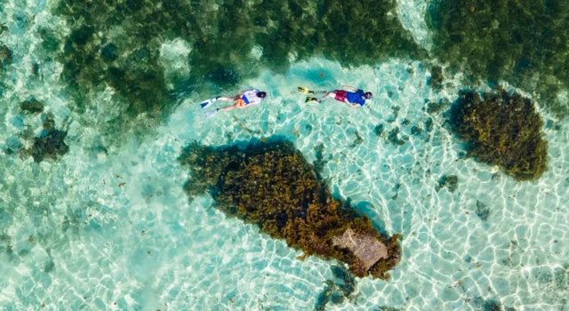 ሲሸልስ የጫጉላ ሽርሽር መዳረሻ በመሆን ዝነኛ ሲሆን፤ አሁን ሌሎች የቱሪስት መስህቦችንም እያስተዋወቀች ነው።