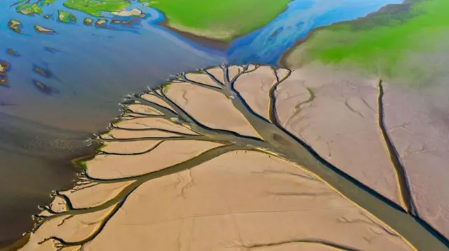 Gelombang panas di China diperkirakan masih akan berlangsung sepekan lagi sehingga periode suhu ekstrem ini adalah yang terlama sejak catatan dimulai pada 1961.