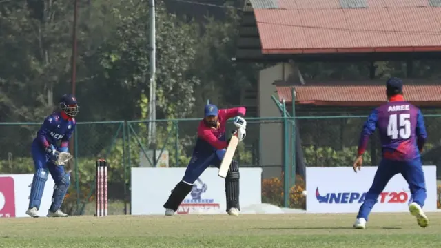 क्रिकेट