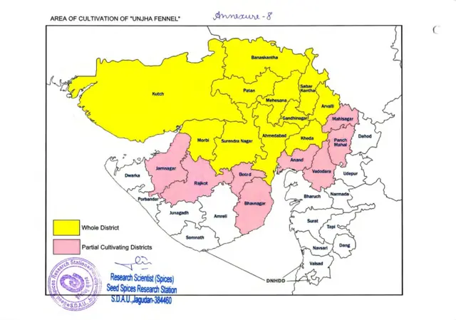 જીરું, બીબીસી