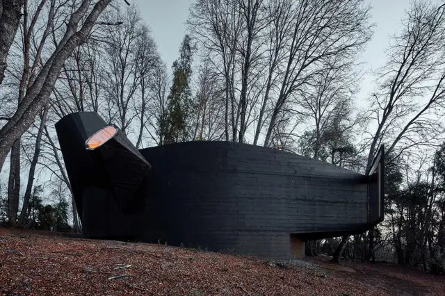 Estructura oscura de formas curvas y volumen inclinado, ubicada en un bosque de árboles altos y sin hojas.