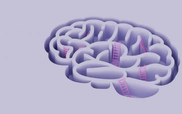 Enine kesilmiş yukarıdan görünen beyin çizimi, kıvrımlara çıkan pembe merdivenler var. 