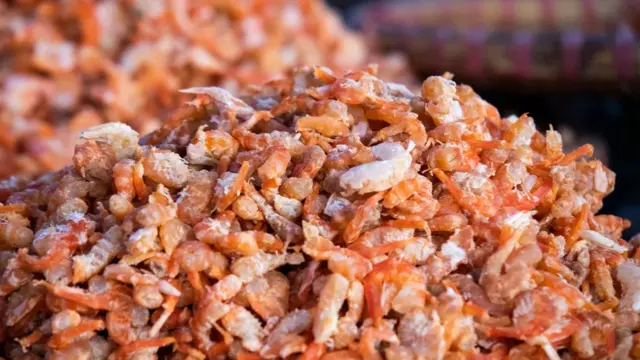 Dengan berjalan di atas udang, orang Manila dapat melepaskan cangkangnya