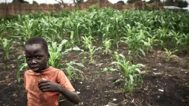 Wani yaro yana tafiya a cikin wata gona