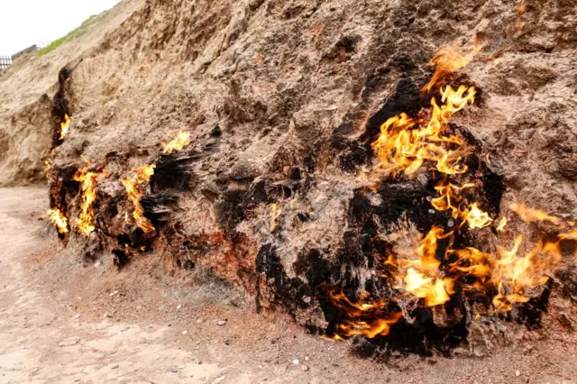 Boba'aa ofumaa laboobu