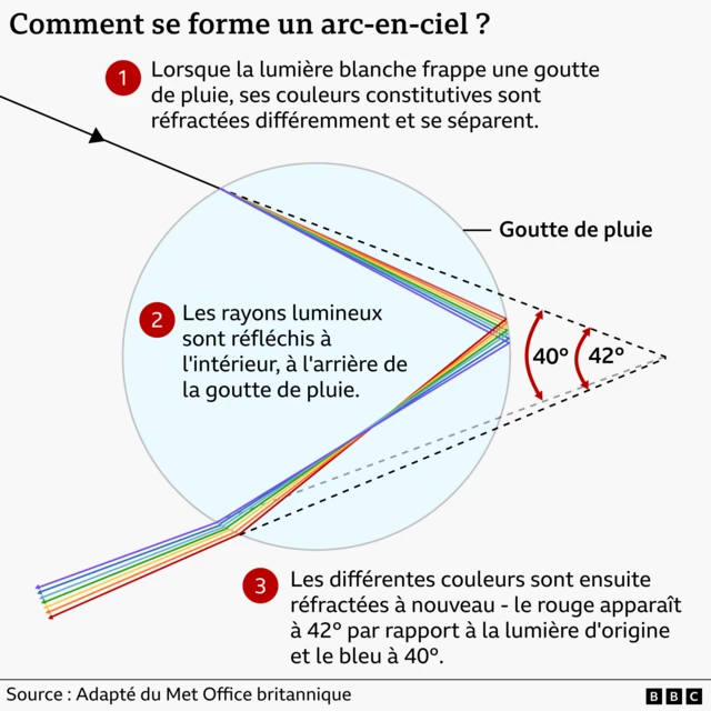 Un graphique montrant comment un arc-en-ciel se forme en trois étapes : 1. la lumière blanche se divise en différentes couleurs lorsqu'elle tombe sur une goutte de pluie 2. les couleurs sont réfléchies de l'intérieur à l'arrière de la goutte de pluie 3. elles sont à nouveau réfractées vers l'extérieur sur le bord avant de la goutte de pluie.