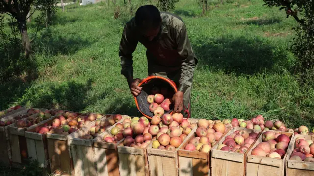 Jahon jinsiy sayohati Jahon jinsiy sayohati