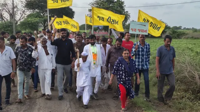 બોટાદ માર્કેટિંગ યાર્ડ કોટન, આમ આદમી પાર્ટી દ્વારા આંદોલન, કોને ફાયદો, કોંગ્રેસ, આપ, ભાજપ સરકાર, અજય નાયક, દીપલ ત્રિવેદી, નરેશ વારિયા, બીબીસી ન્યૂઝ ગુજરાતી