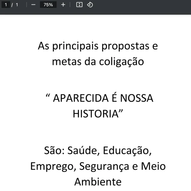 Imagem de proposta de candidato a prefeito apresentada ao TSE