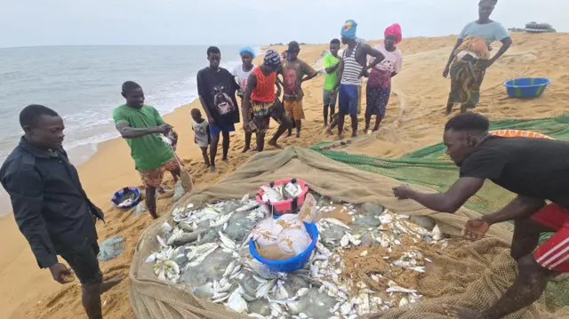 Ngư dân trên đảo Sherbo ở Sierra Leone đứng quanh một tấm lưới chứa mẻ cá mới đánh bắt