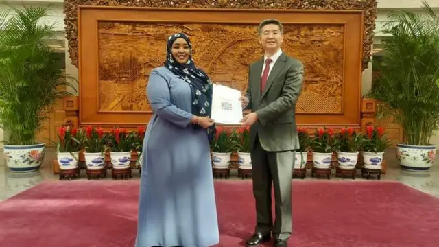 Safiirka Soomaaliya ee Belgium 