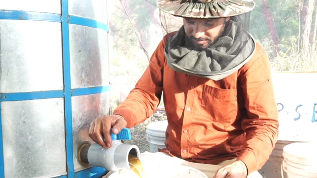 ਸ਼ਹਿਦ ਕੰਟੇਨਰਾਂ ਵਿੱਚ ਭਰ ਰਹੇ ਸ਼ਖਸ ਦੀ ਤਸਵੀਰ