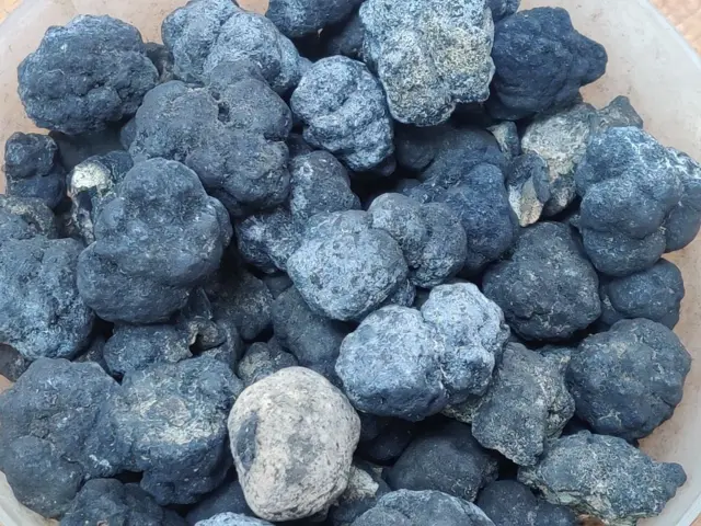 تحتوي العقيدات المتعددة المعادن على العديد من المعادن ولكن النيكل والكوبالت والنحاس هي الأكثر قيمة