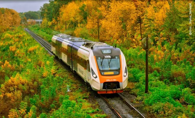 Потяг їде крізь осінній ліс - навколо зелені, жовті, багряні дерева 