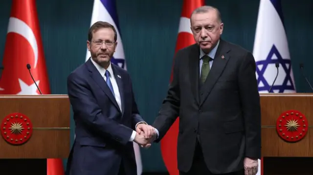 اردوغان و هرتزوگ