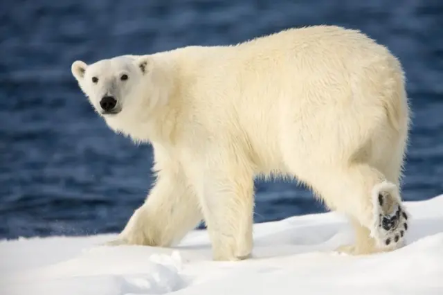 விசா இல்லாமல் பயணம் செய்யும் இடம்