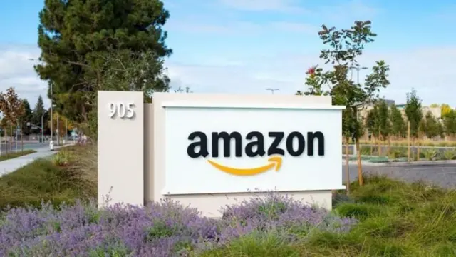 अमेझॉन, मायक्रोसॉफ्ट, अॅपल आणि गुगलसारख्या बहुराष्ट्रीय कंपन्या देखील भारतीय तज्ज्ञांवर अवलंबून आहेत.