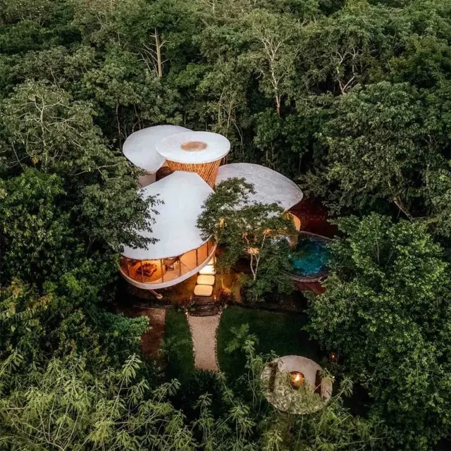 Una casa con techos blancos que ondean sobre paredes de cristal, entre las que se ve un espacio cálido entre un bosque.