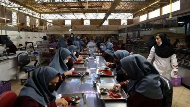 प्रतिकात्मक छायाचित्र