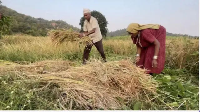 गुजरात आदिवासी