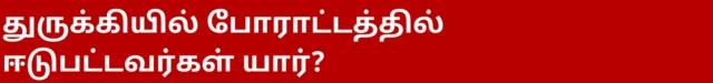 துருக்கியில் போராட்டத்தில் ஈடுபட்டவர்கள் யார்?